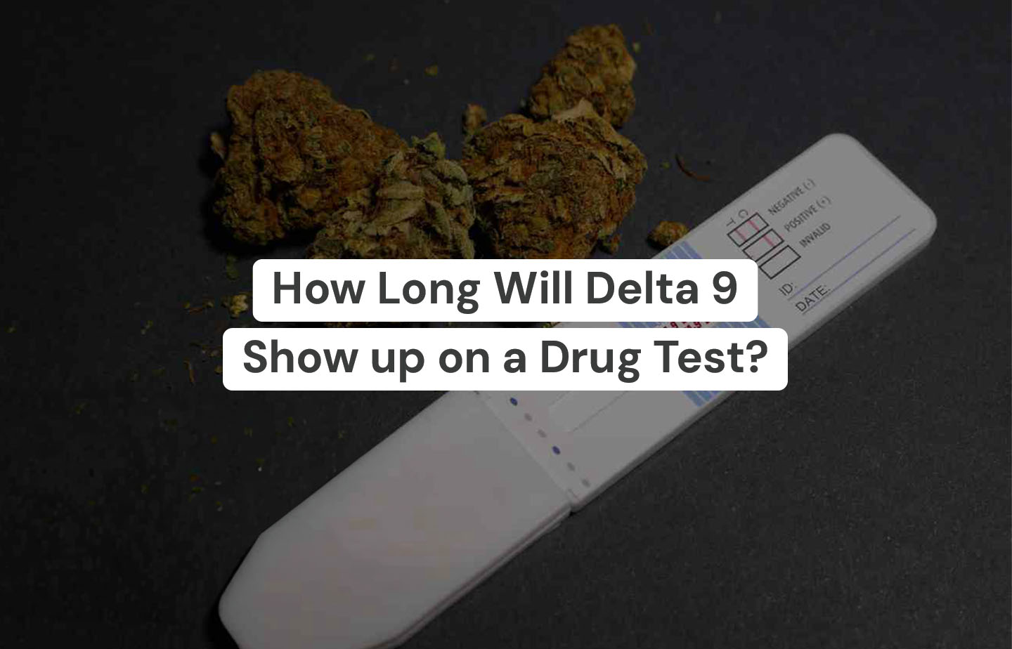How Long Will Delta 9 Show Up On A Drug Test? – The Hemp Collect