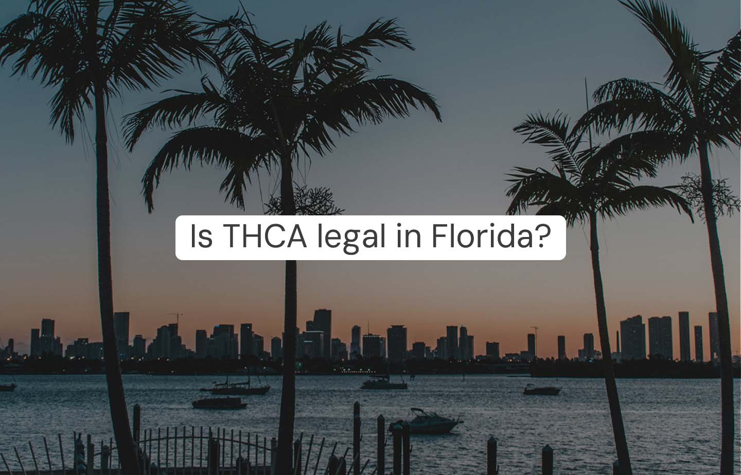 Is THCA legal in Florida ? | The Hemp Collect