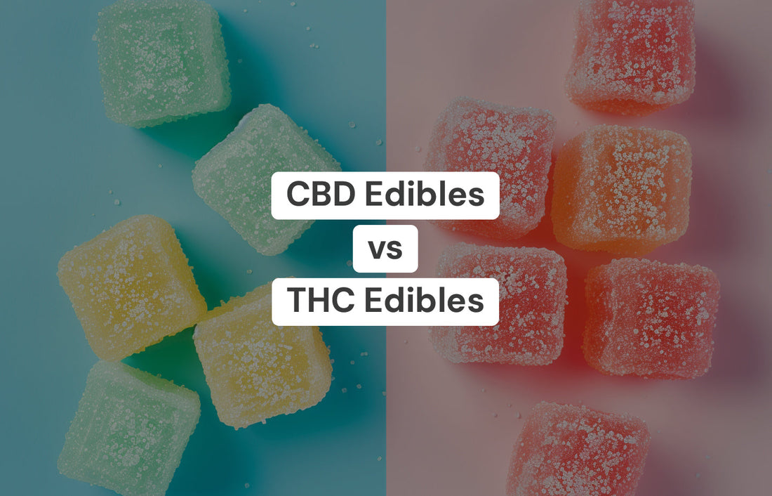 CBD Edibles Vs THC Edibles