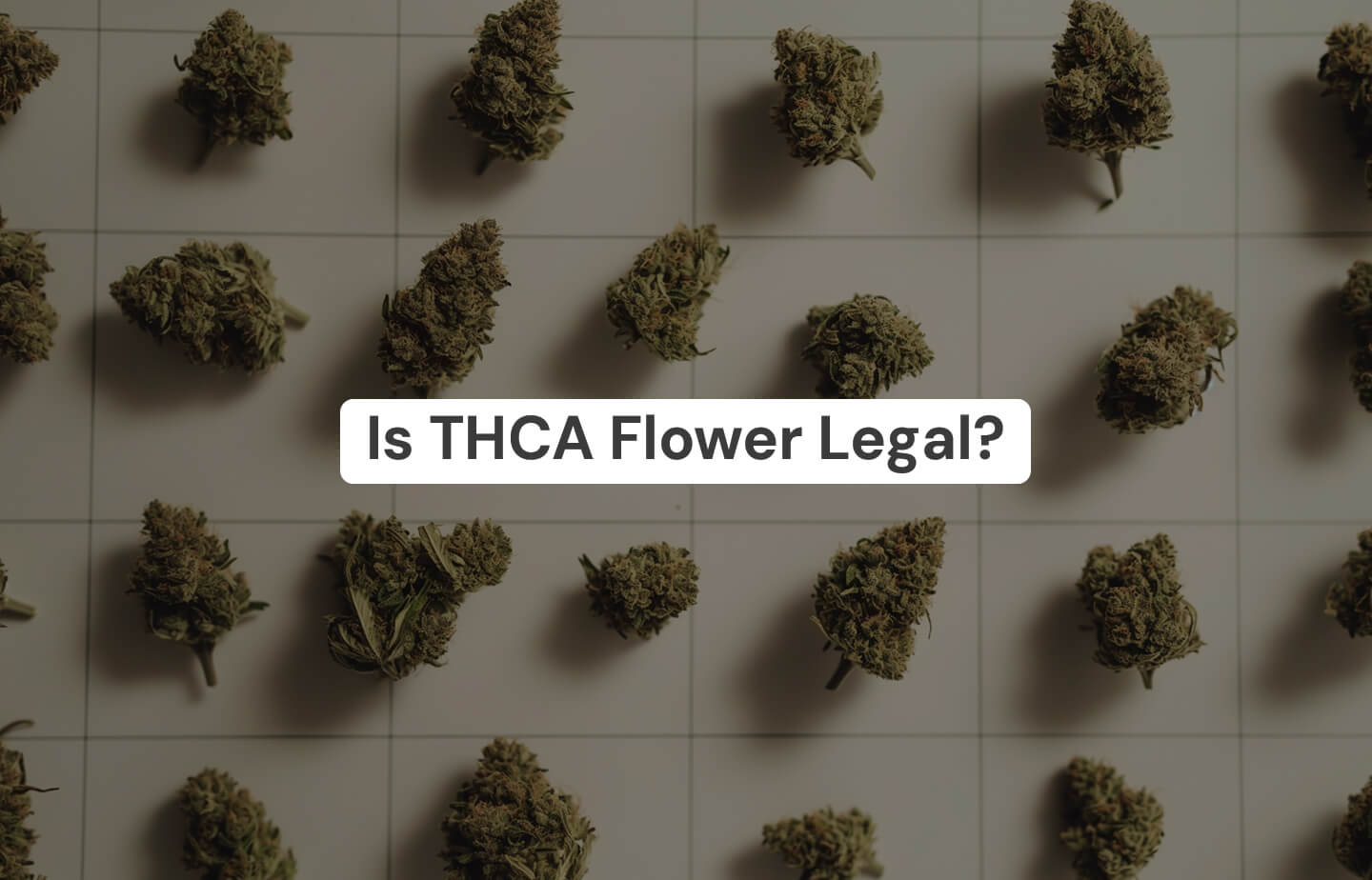 Is THCa Flower Legal? - The Comprehensive Guide – The Hemp Collect