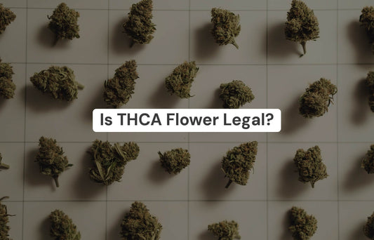 Is THCa Flower Legal?