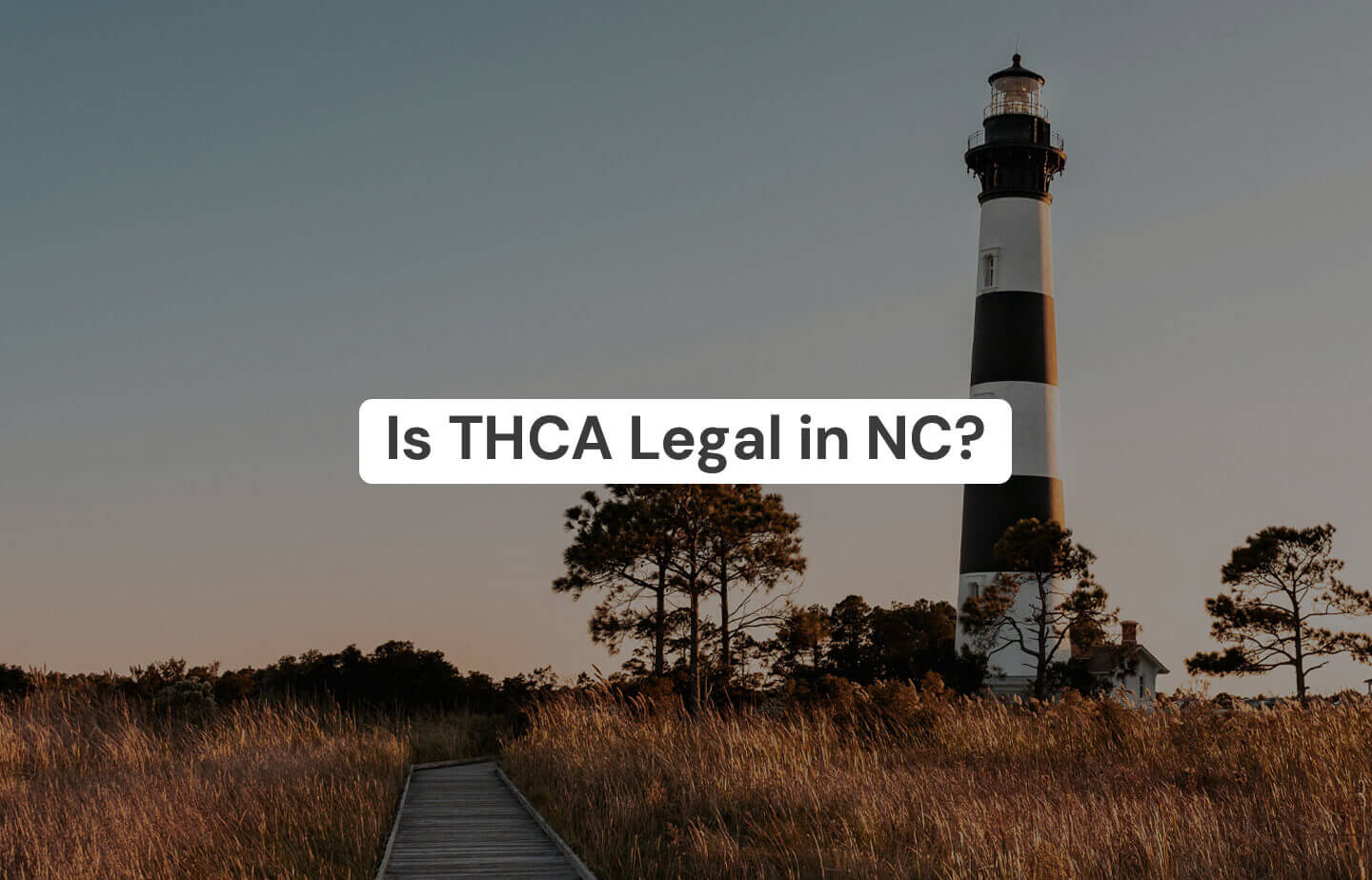 Is THCA Legal in North Carolina? – The Hemp Collect