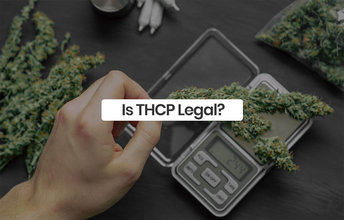 Is THCP Legal? - Here’s What You Need to Know – The Hemp Collect