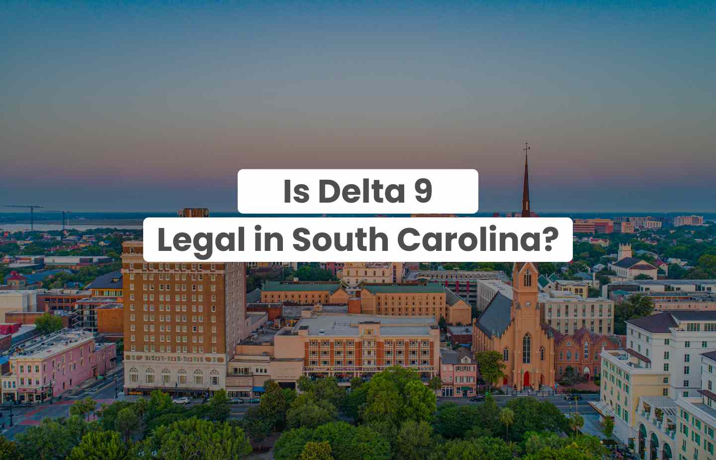 Is Delta 9 Legal in South Carolina? – The Hemp Collect