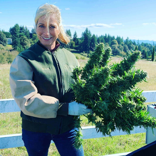 Hemp farm- Mindy farmer of Red Star Ranch holding her prize hemp flower.