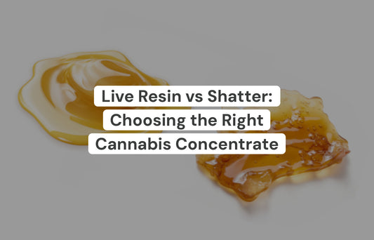 Live Resin vs. Shatter: Choosing the Right Cannabis Concentrate