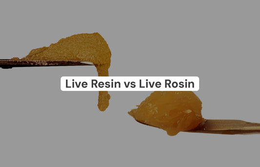 Cannabis Concentrates: Live Resin vs. Live Rosin – Which Is Better?