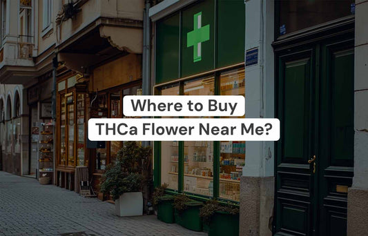 Where to Buy THCa Flower Near Me