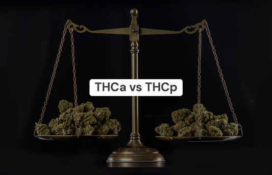 THCa vs THCp: What’s the Difference