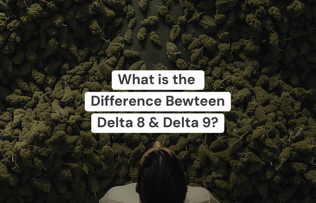 What is the Difference Between Delta-8 and Delta-9