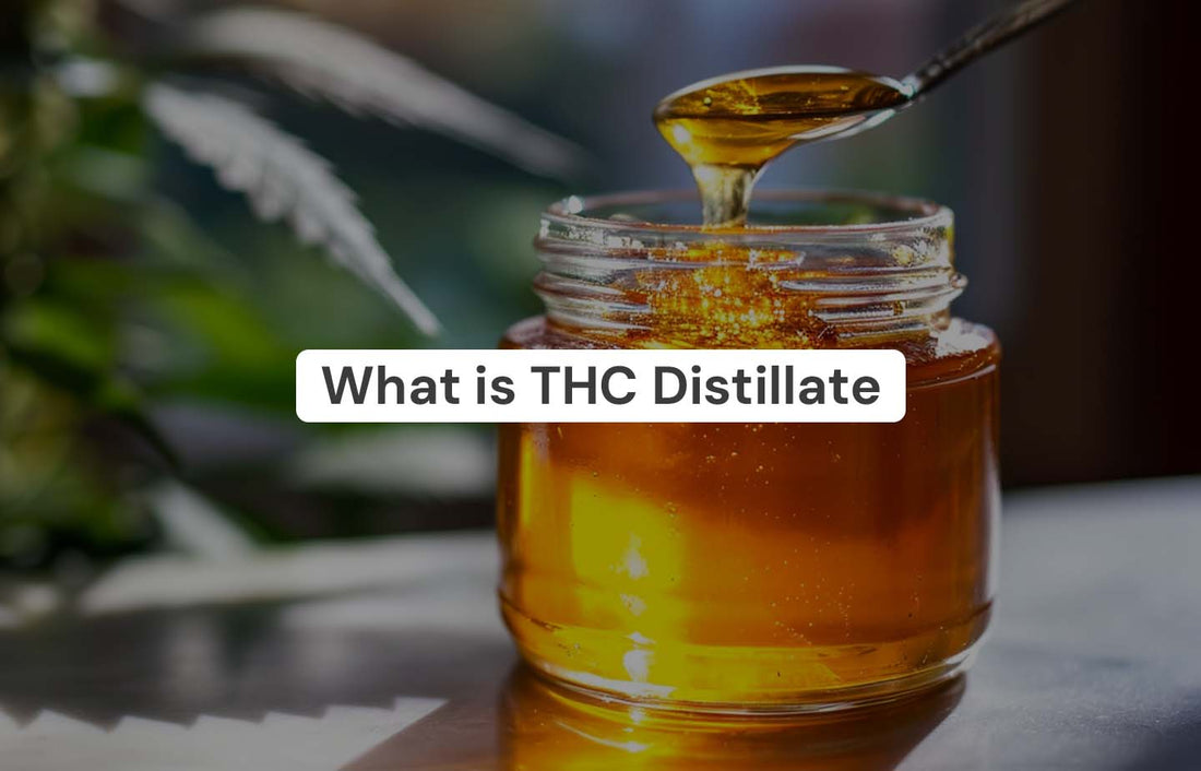 What is THC Distillate