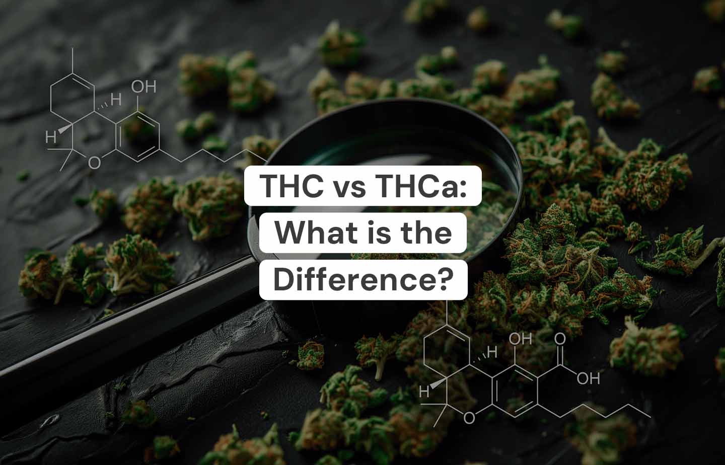 THC Vs. THCA: What Is The Difference? – The Hemp Collect