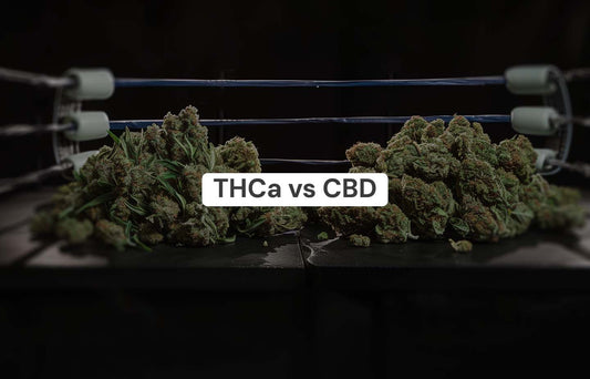 THCA vs CBD