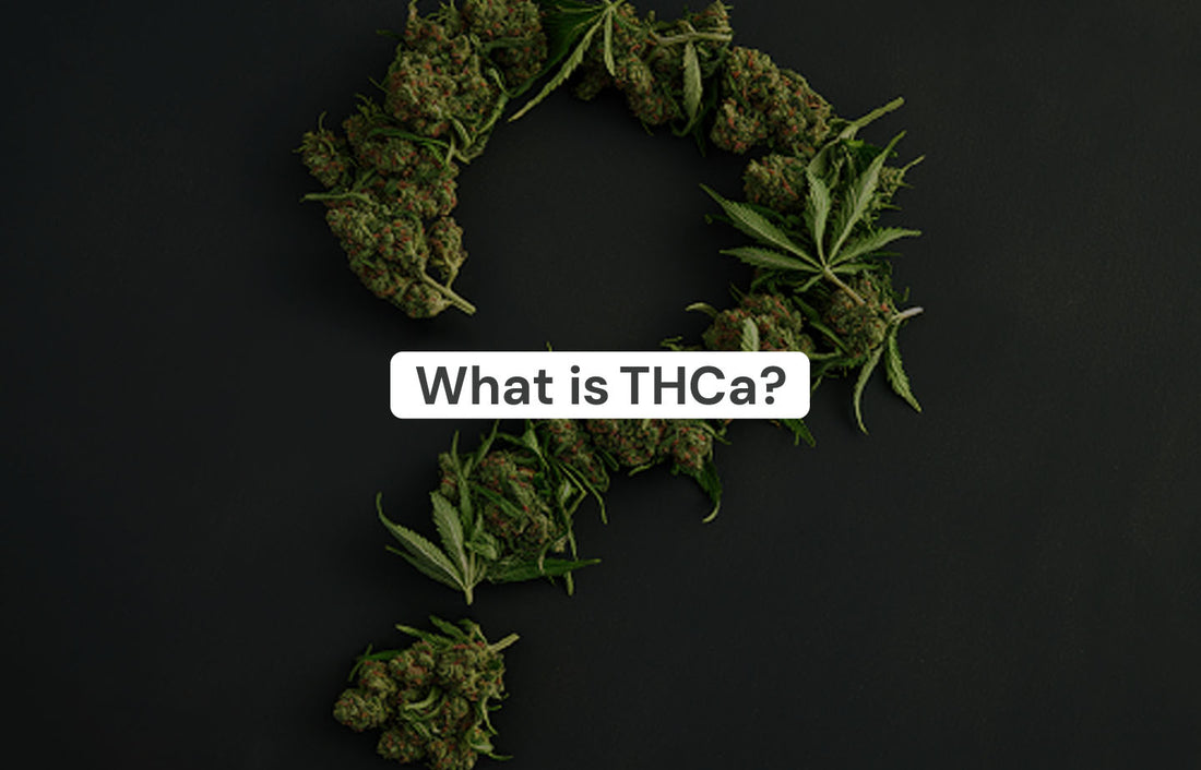 What Is THCA?