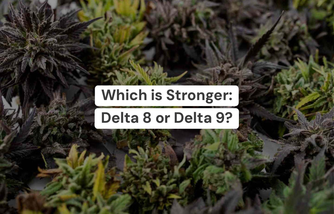 Which is Stronger: Delta 8 or Delta 9