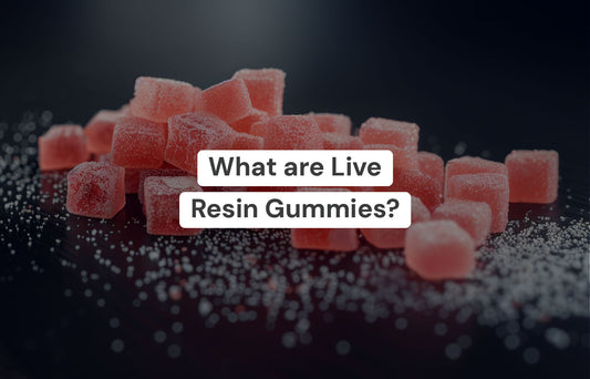 What Are Live Resin Gummies