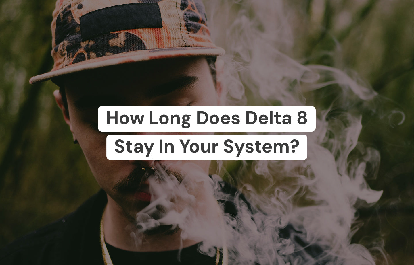 How Long Does Delta 8 Stay In Your System? – The Hemp Collect