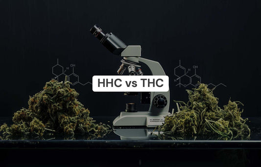 HHC Vs THC