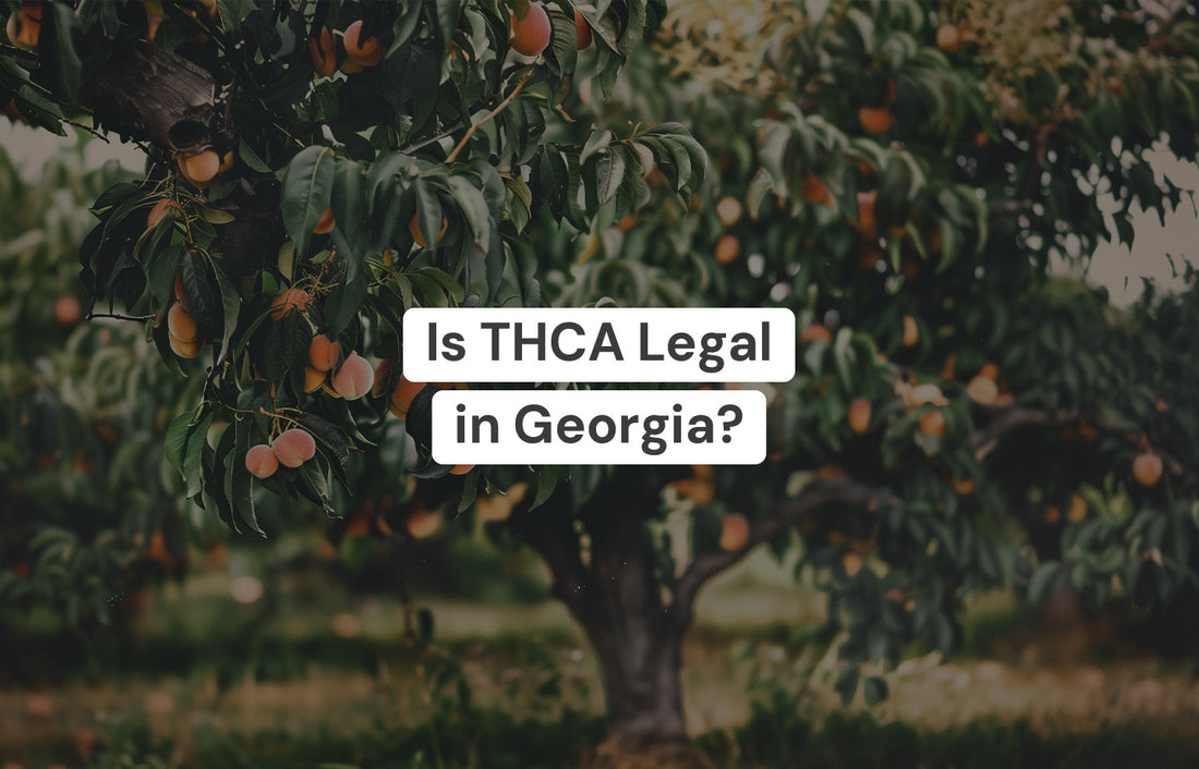 Is THCA legal in Georgia