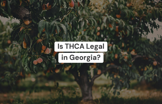 Is THCA legal in Georgia