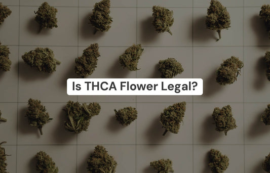 Is THCa Flower Legal?