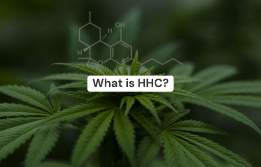 What Is HHC