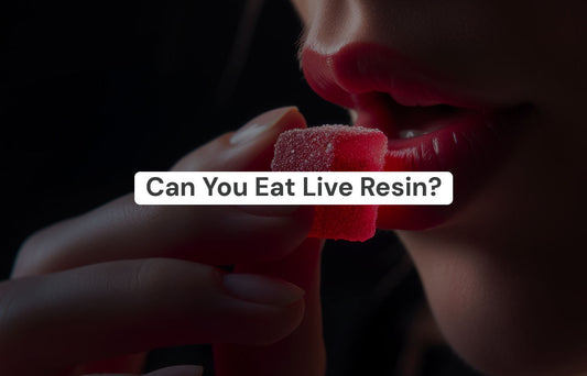 Can You Eat Live Resin?