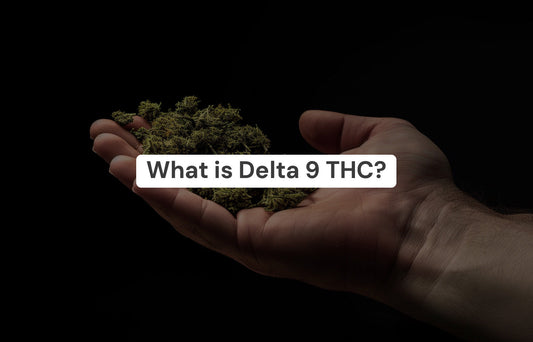 What Is Delta-9 THC