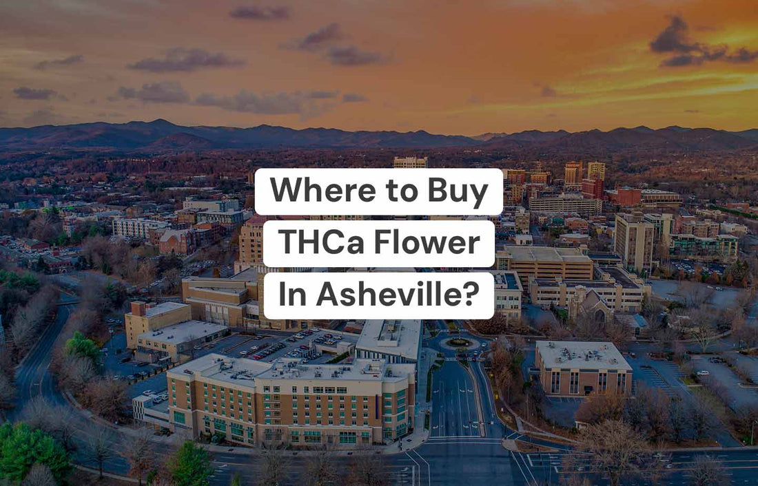 Where To Buy THCa Flower in Asheville