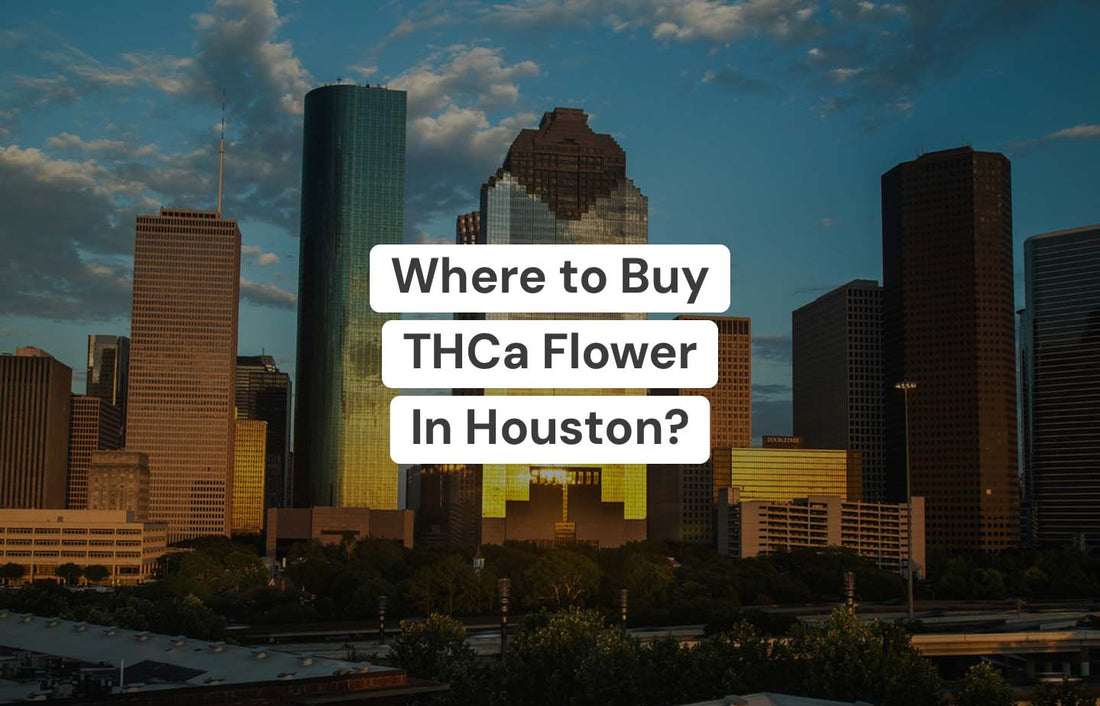 Where To Buy THCa Flower in Houston