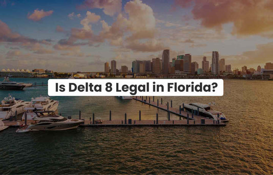 Is Delta 8 Legal in Florida?