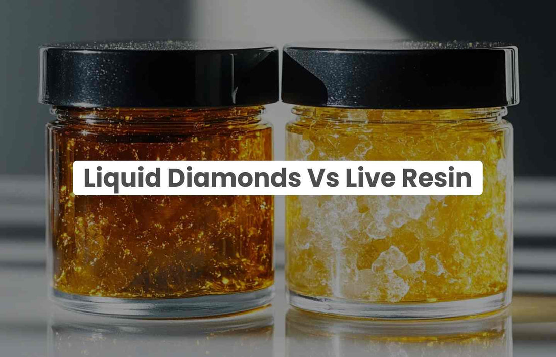 Liquid Diamonds Vs Live Resin