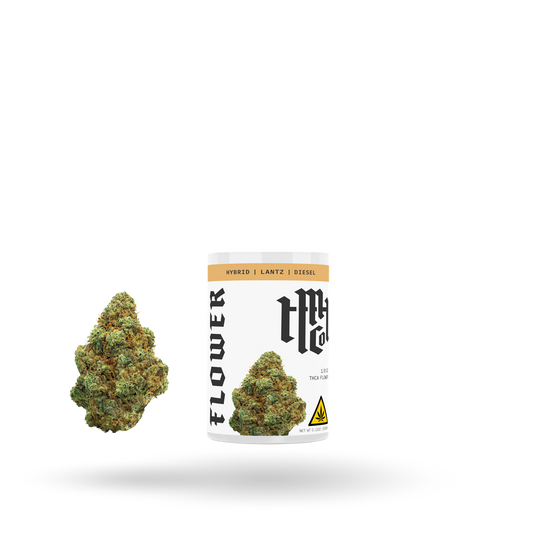 THCa Flower: Lantz (Hybrid), 1/8oz