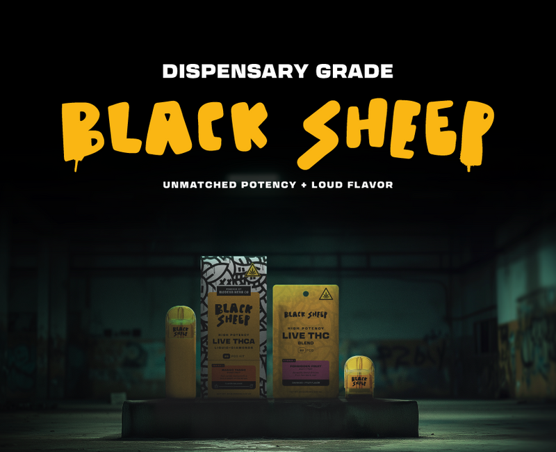 Black Sheep