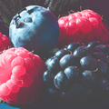 Mixed Berries
