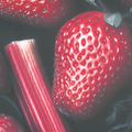 Strawberry Rhubarb
