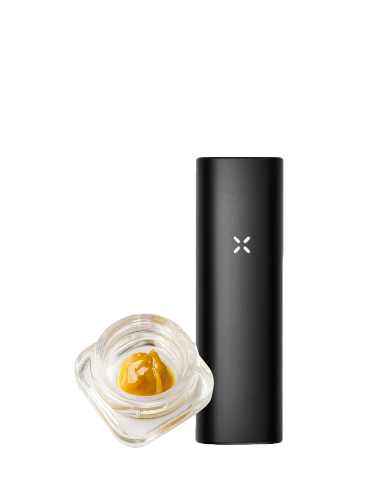 Live THCa Rosin Dab and PAX PLUS Kit