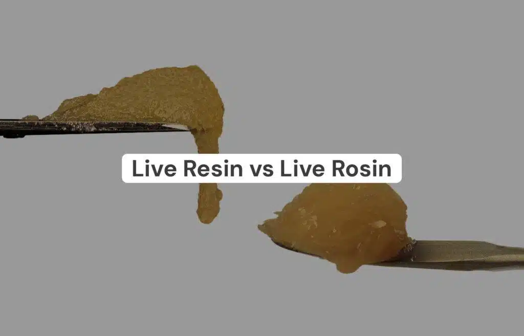 Live Resin Vs Live Rosin