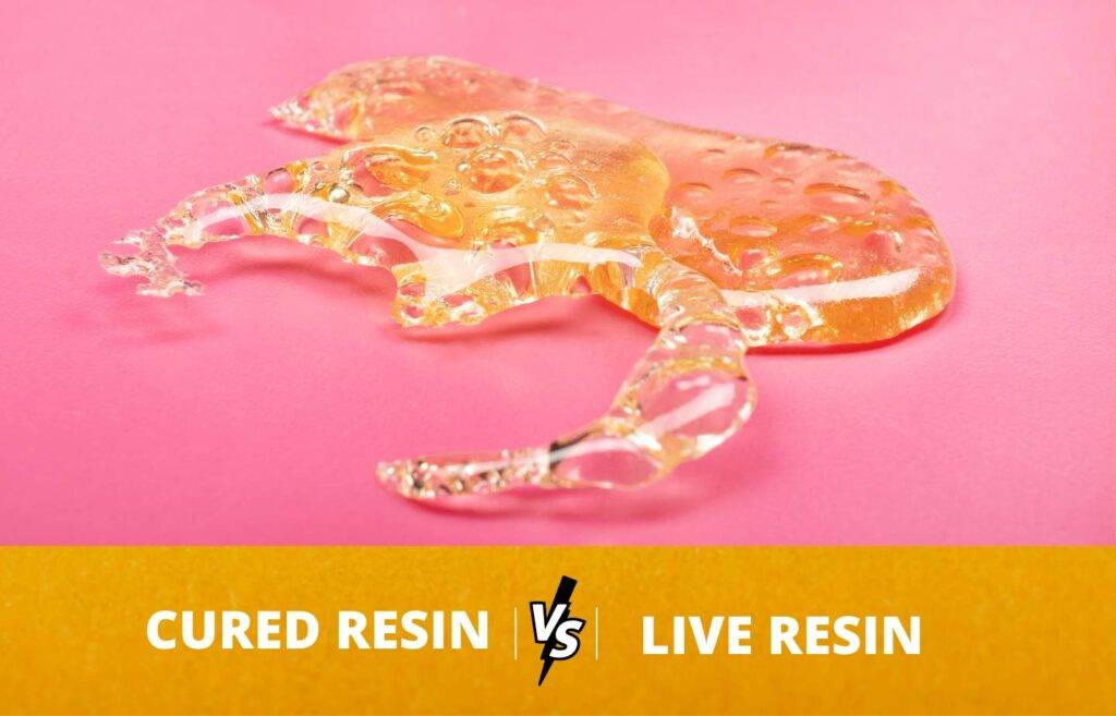 Cured Resin vs. Live Resin