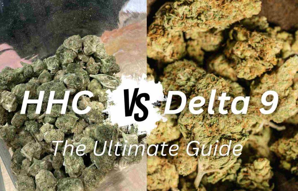 HHC Vs. Delta 9 The Ultimate Guide