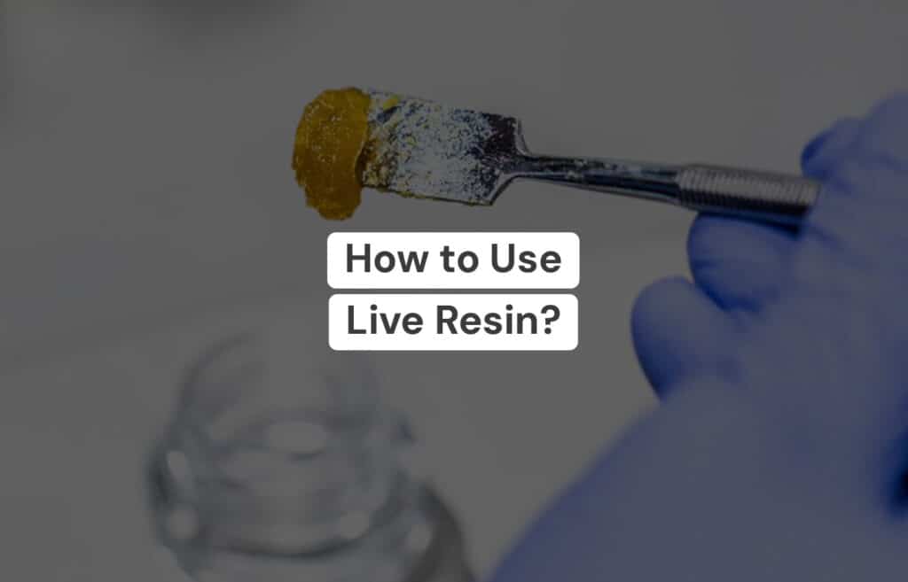 HOW TO USE LIVE RESIN