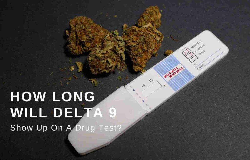 How Long Will Delta 9 Show Up On A Drug Test?