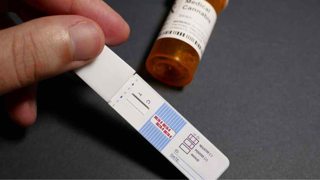 Delta 9 THC Drug Test