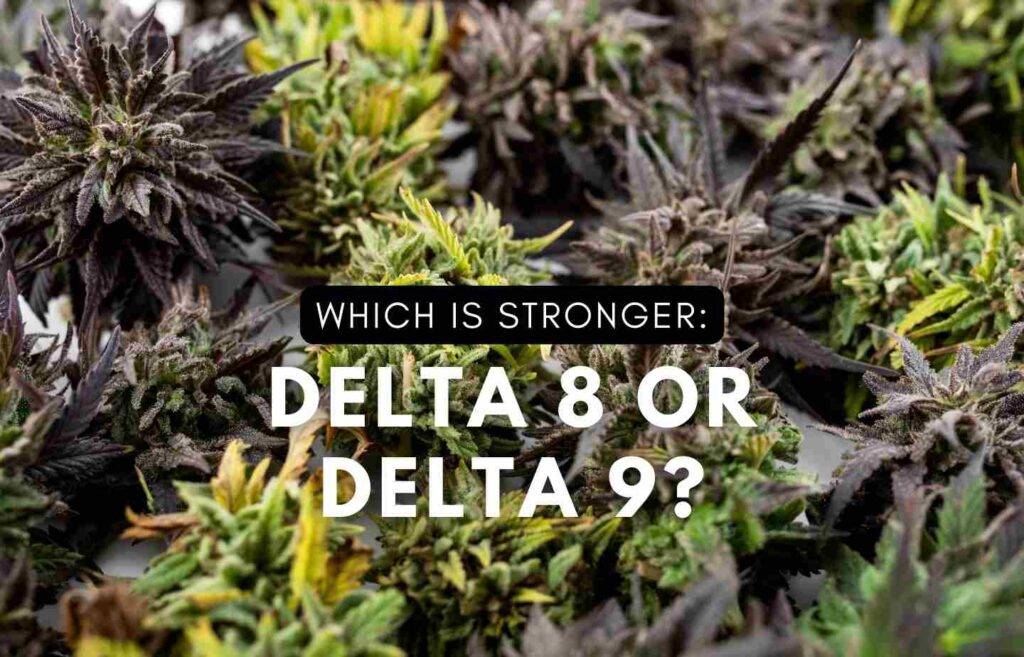 Which is stronger Delta 8 or Delta 9
