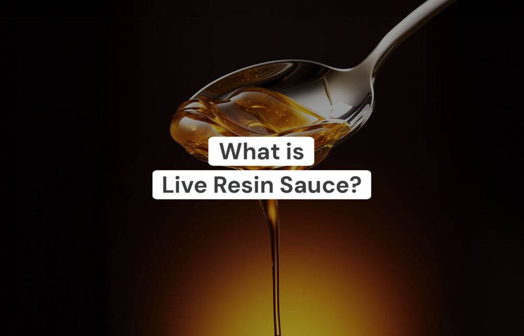 What Is Live Resin Sauce