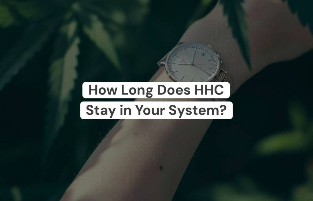 How Long Does HHC Stay In Your System
