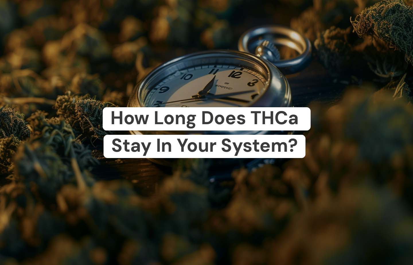 How Long Does THCA Stay In Your System