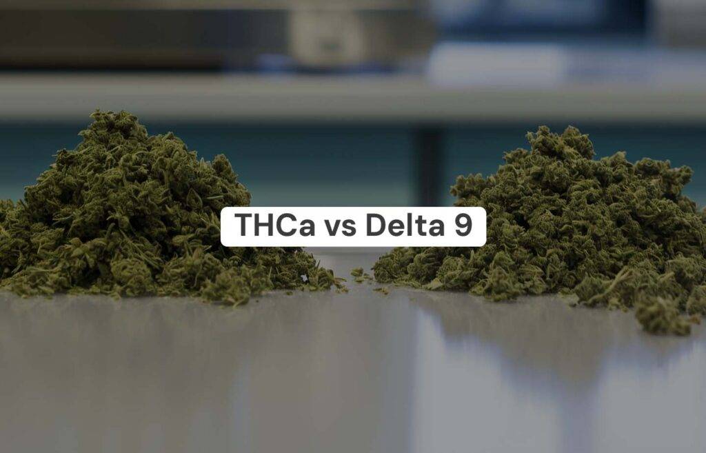 THCa Vs Delta 9