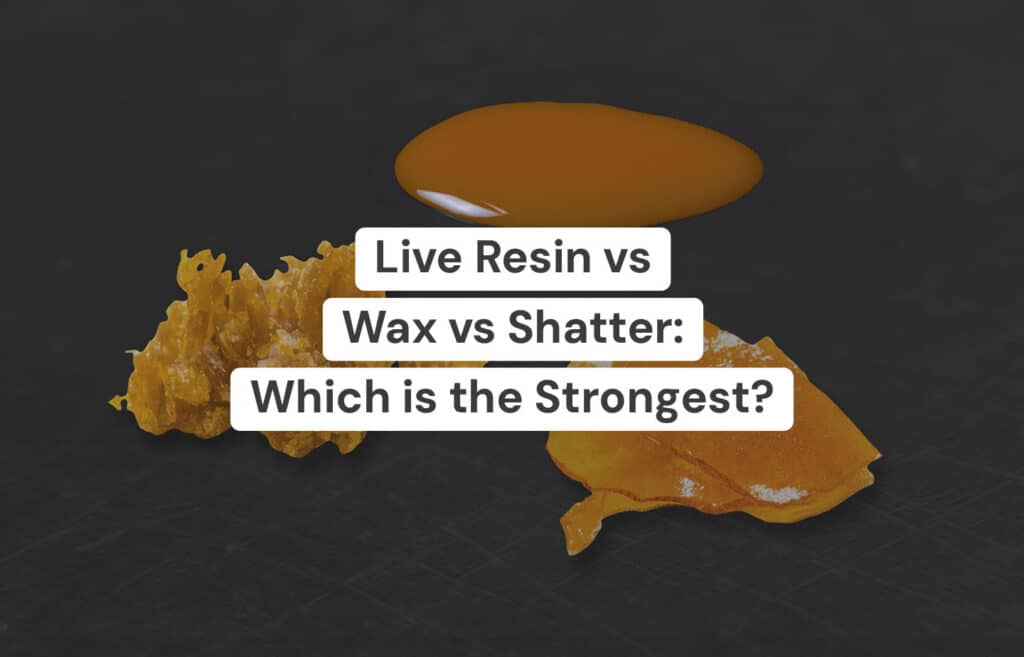 Live Resin vs Wax vs Shatter